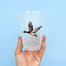 Home Malone Flying Mallard Duck Party Cup Set of 6 - Gift Ideas for Him - Outdoorsy Cute Geaux Cups - Reusable 