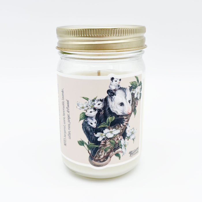 Opossum Soy Candle