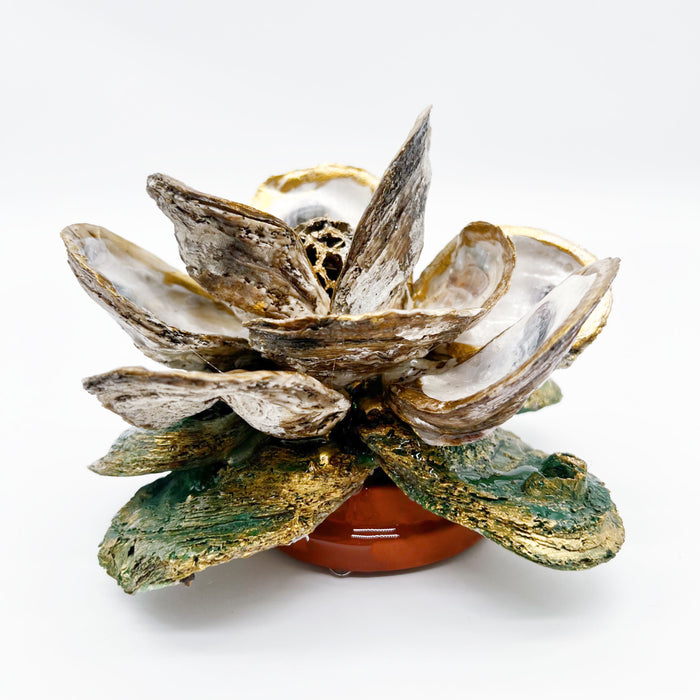 Oyster Magnolia