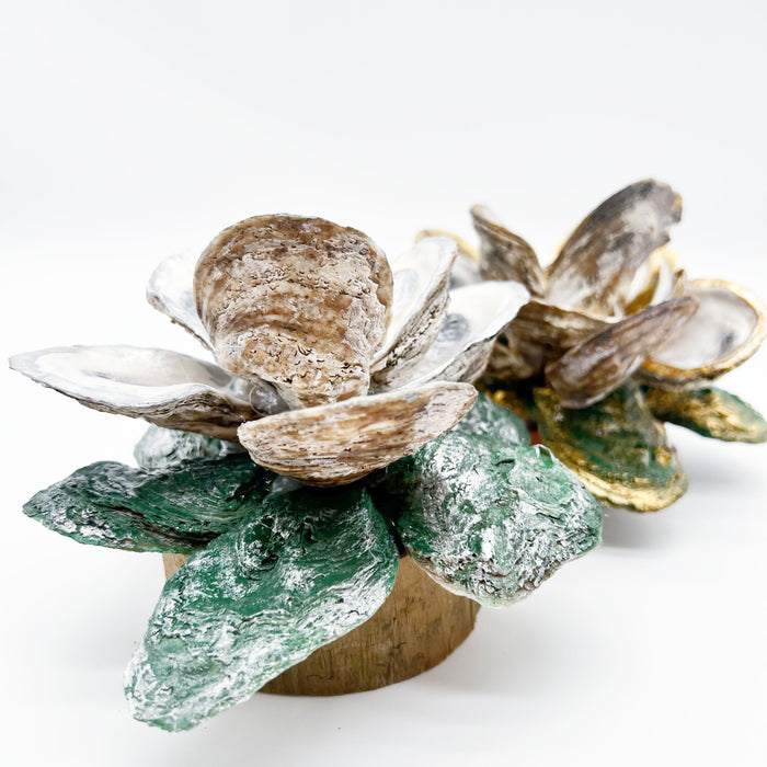 Oyster Magnolia