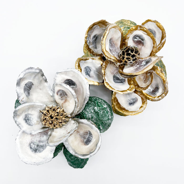 Oyster Magnolia