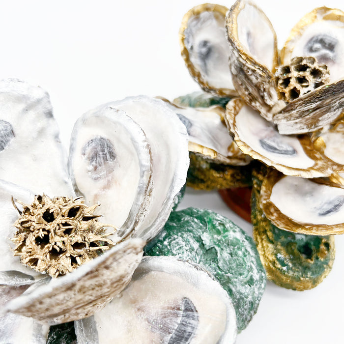 Oyster Magnolia