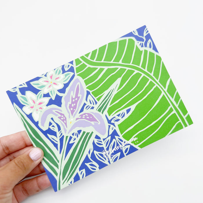 Swamp Iris 8-Notecard Set