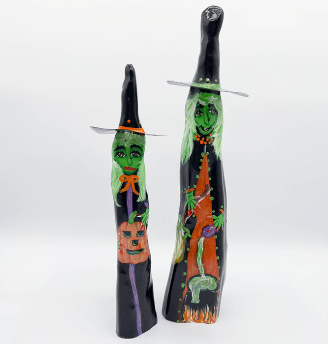 Cypress Knee Witch 2024