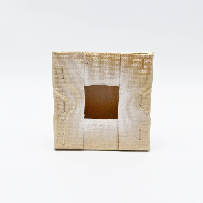 Painted Canvas: Heron