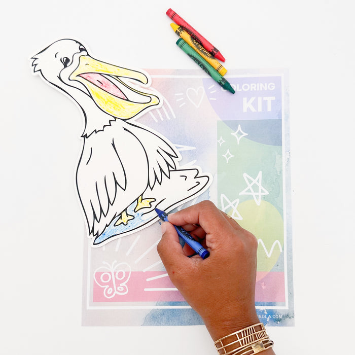 Pelican On The Fly Coloring Kit