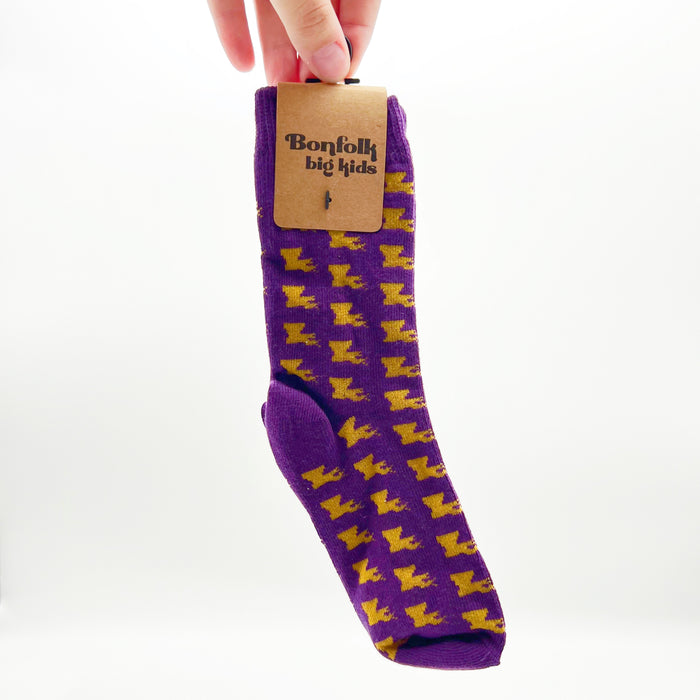 Bonfolk Big Kids Socks - Louisiana