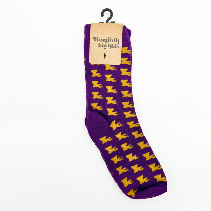 Bonfolk Big Kids Socks - Louisiana