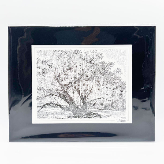 Café Du Monde Oak Print - 11x14