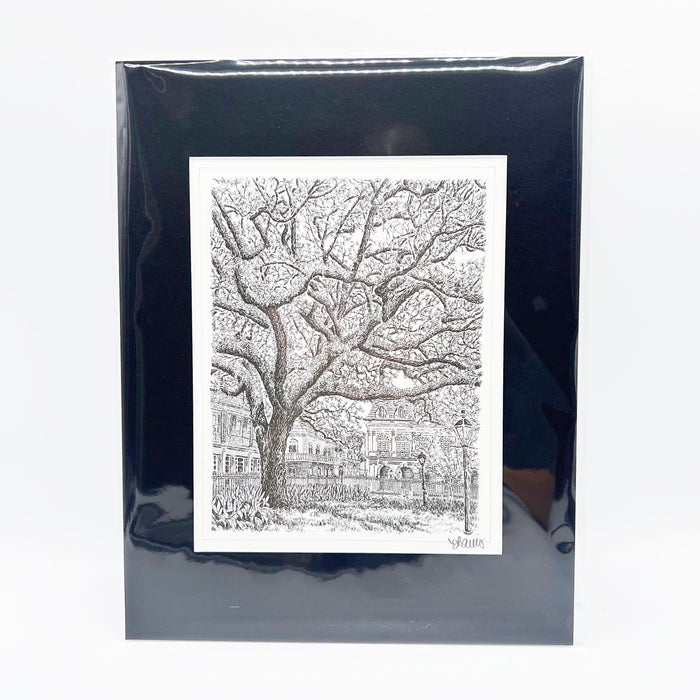 Jackson Square Print - 11x14