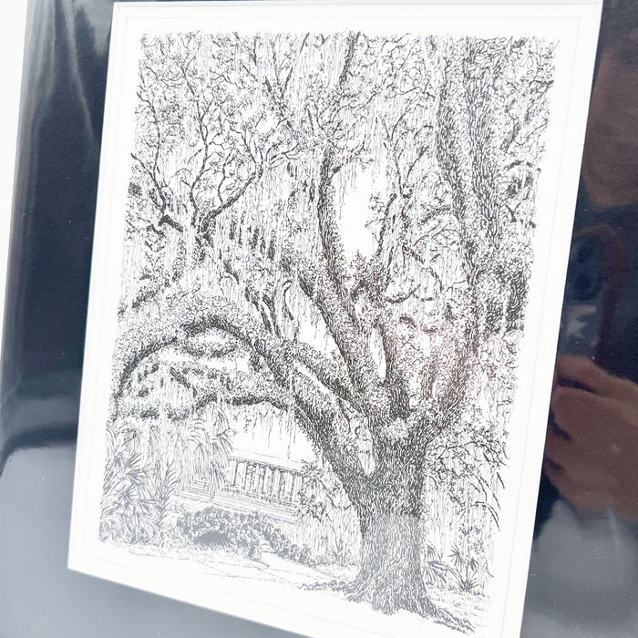 City Park Peristyle Print - 11x14