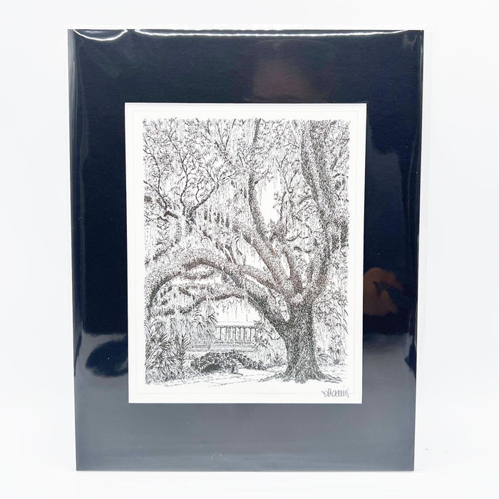 City Park Peristyle Print - 11x14