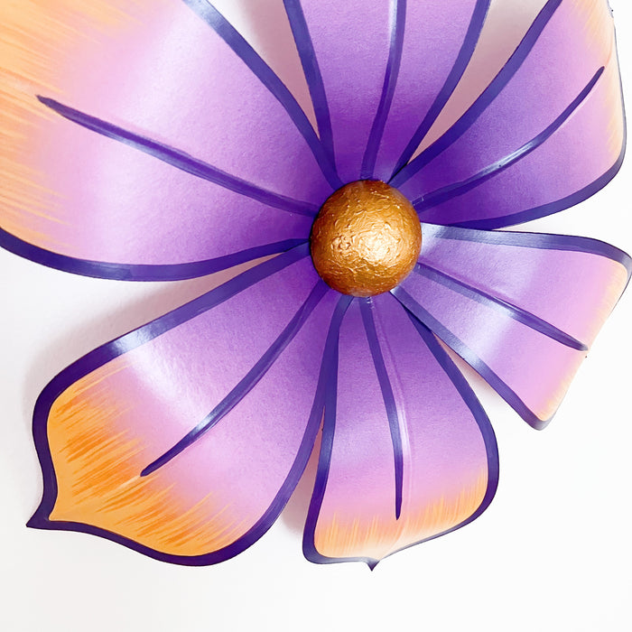 Astraea Purple Carnival Flower