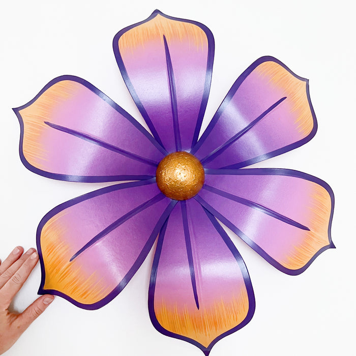 Astraea Purple Carnival Flower