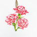 Carnation, Ohio State Flower, delicate, pink, floral, greek, ornaments