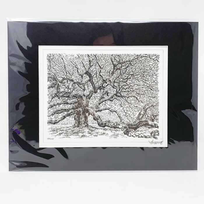 Angel Oak Print - 11 x 14