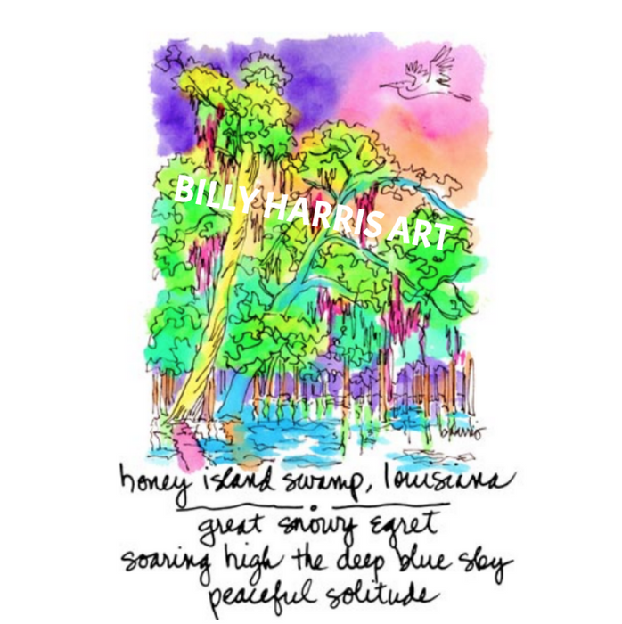 Framed Haiku Art Color: Honey Island Swamp