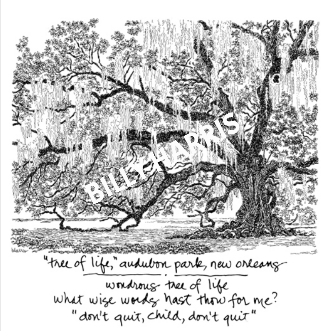 Framed Haiku Art B/W Tree of Life — Home Malone