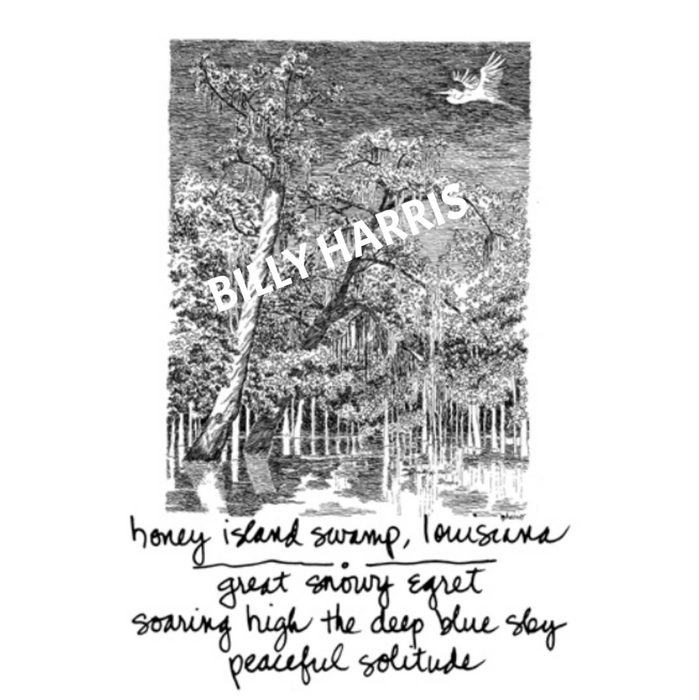 Framed Haiku Art B/W: Honey Island Swamp